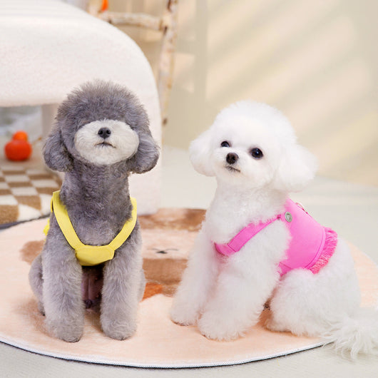 Arnés Personalizado de Moda para Mascotas - Image 12