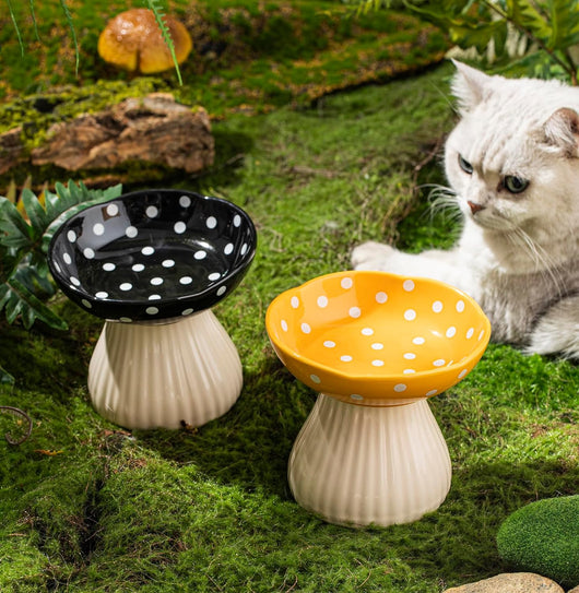 Comedero Elevado para Gatos con Diseño de Lunares y Cerámica Segura - Image 9