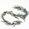 Pine Branches And Pinecones