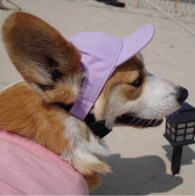 Gorra Protectora Solar Ajustable para Mascotas con Orejas Descubiertas - Image 16