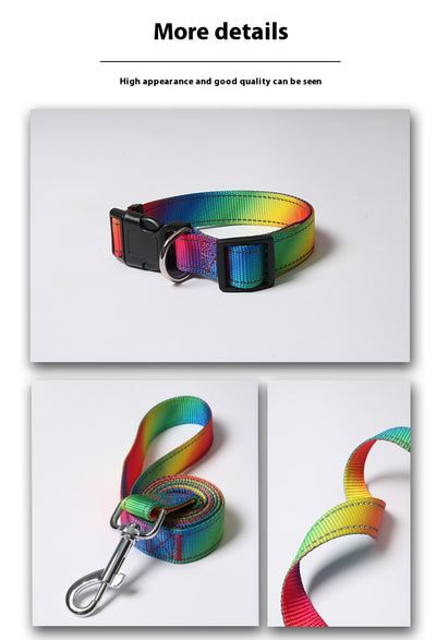 Arnés Colorido con Correa para Perros - Diseño Creativo y Seguro - Image 10