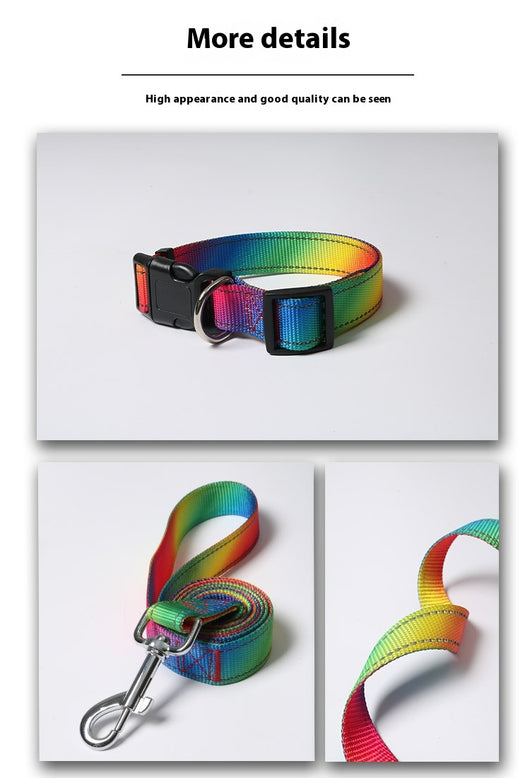 Arnés Colorido con Correa para Perros - Diseño Creativo y Seguro - Image 10