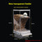 Transparente