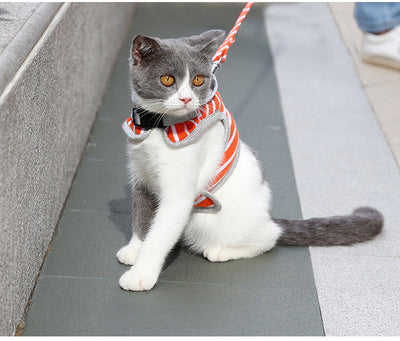 Chaleco arnés para gato con capucha para paseos - Image 18