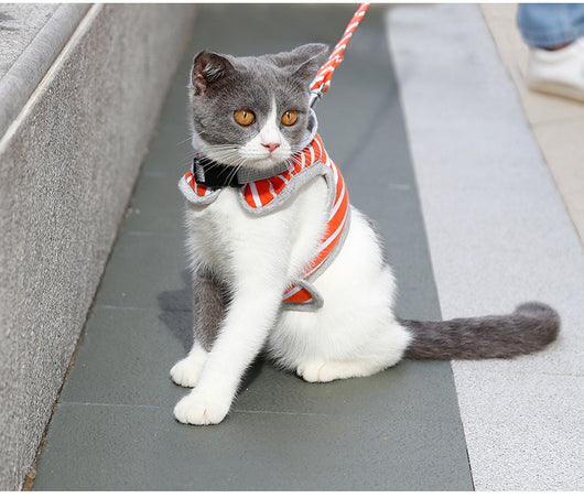 Chaleco arnés para gato con capucha para paseos - Image 18