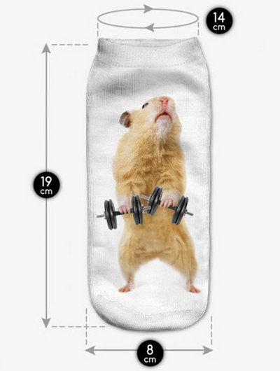 Calcetines Estampados con Patrón de Gatos Adorables - Image 9
