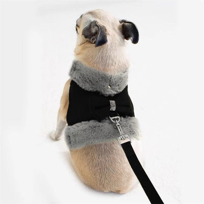 Arnés Cálido para Perro Pequeño con Correa y Moño - Acolchado Suave con Cuello de Pelaje Removible - Image 15