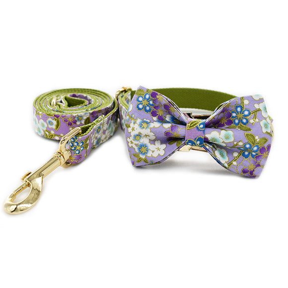 Collar Correa Purple Zephyr para Perros