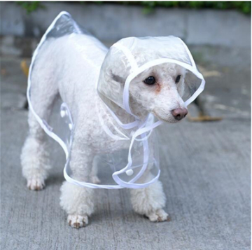 Impermeable Transparente para Perros con Capucha - Image 3