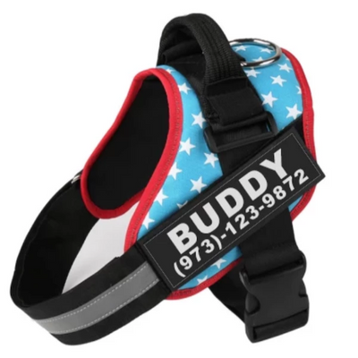Arnés Reflectante Personalizado para Perros sin Tirón - Ajustable y Transpirable - Image 10
