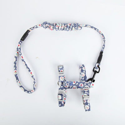 Arnés de Paseo para Gatos con Correa Pectoral - Image 21
