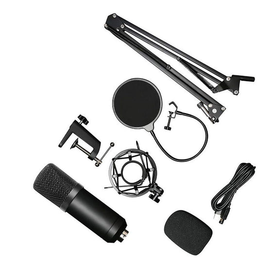 Conjunto de Micrófono Profesional - Image 2
