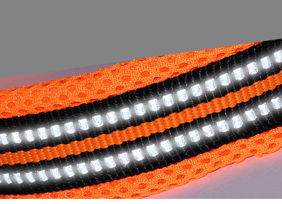 Collar para Perro de Nylon Reflectante Ajustable - Image 4