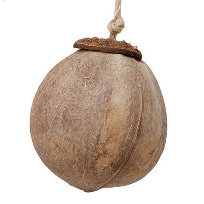 Natural coconut shell bird nest with a wooden ladder, featuring a hanging rope for small birds or hamsters. - Image 4