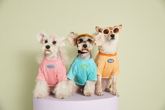 Playera Teddy Cuadros Pastel Verano - Diseño Delgado y Fresco - Image 11
