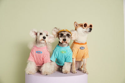 Playera Teddy Cuadros Pastel Verano - Diseño Delgado y Fresco - Image 15