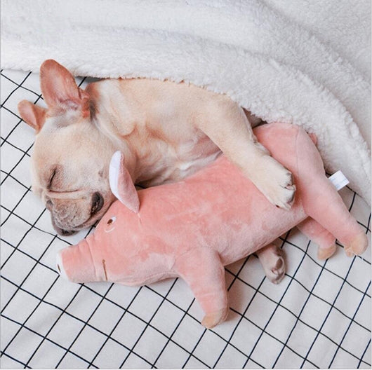 Juguete Peluche Compañero de Sueño para Perros - Image 7