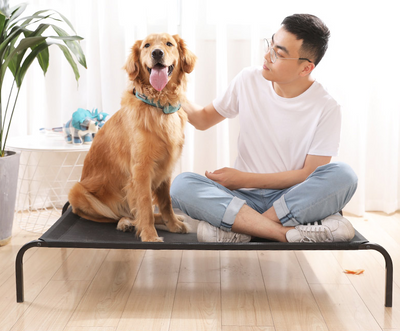 Cama para Mascotas Extraíble y Lavable