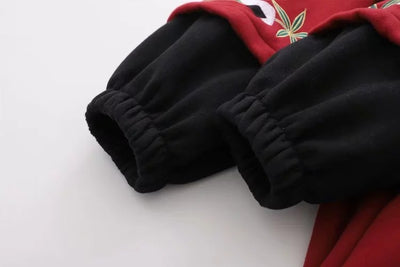 Sudadera con Capucha de Terciopelo y Bordado de Panda - Image 3