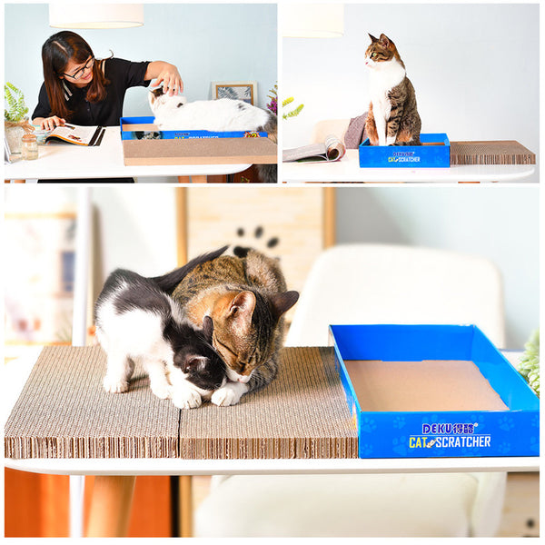 Rascador de Cartón para Gatos