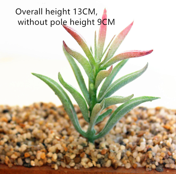 Plantas Suculentas Artificiales Decorativas