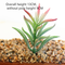 Plantas Suculentas Artificiales Decorativas