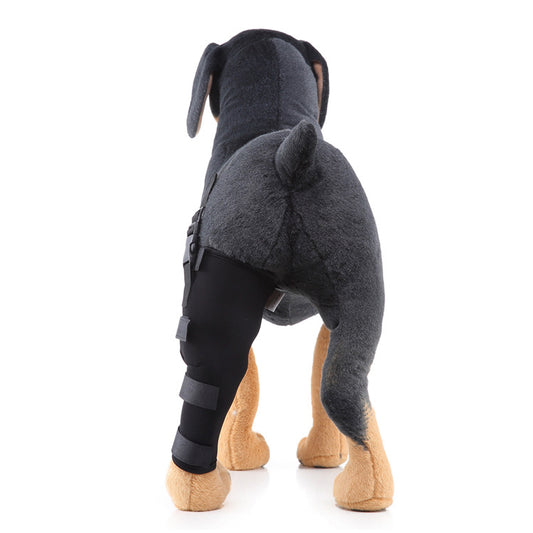 Soporte ortopédico para rehabilitación de patas en mascotas - Image 2