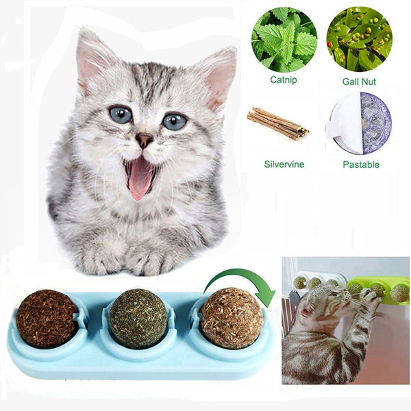 Two self-adhesive rotated catnip lick balls, each in a light blue holder, for cat entertainment.