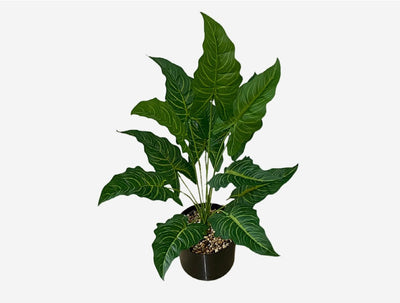Planta Artificial Decorativa Tortuga - 12-24 Cabezas Verdes para Pared y Jardín - Image 36