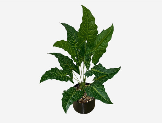Planta Artificial Decorativa Tortuga - 12-24 Cabezas Verdes para Pared y Jardín - Image 36