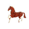 Caballo