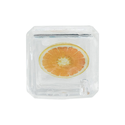 Juguete Congelado de Frutas de Verano para Perros - Image 35