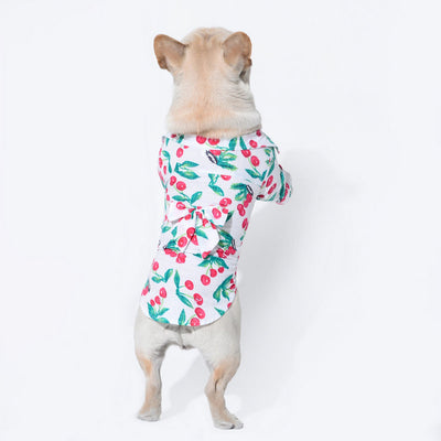 Ropa de Playa para Mascotas - Estilo Veraniego - Image 3