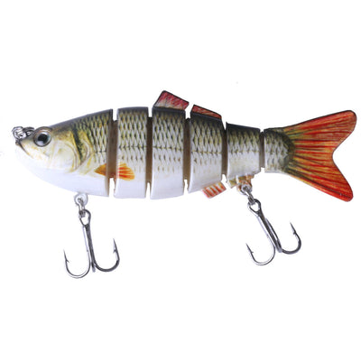 Peces Carnada Premium - Image 5
