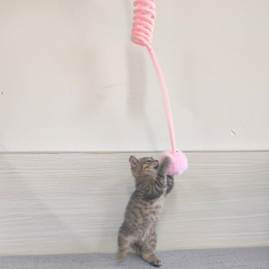 Juguete Interactivo para Gatos con Ventosa y Bola de Pelo - Image 3
