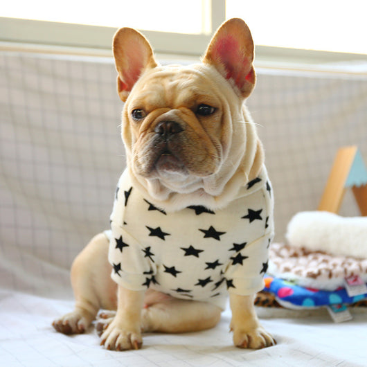 Suéter Tejido para Perros Pequeños - Diseño Bulldog Francés - Image 8