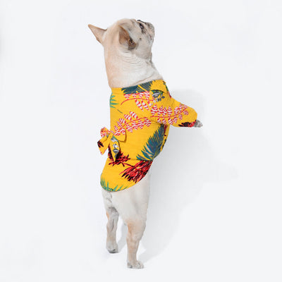 Ropa de Playa para Mascotas - Estilo Veraniego - Image 5