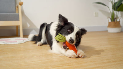 Juguete Masticable para Mascotas Zanahoria Resistente con Sonido - Image 11