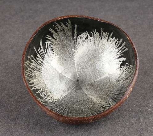Tazón de Cáscara de Coco Ecológico - Image 10