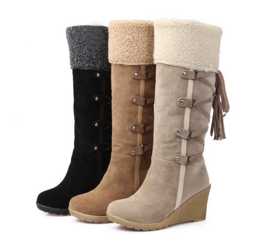 Botas de Invierno para Mujer con Tacón Cuña y Forro de Piel
