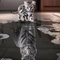 Pintura de Diamantes - Tigre Bebé