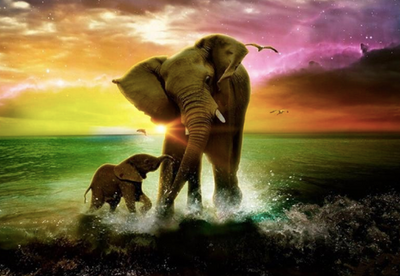 Pintura de Diamantes - Elefante y Bebé