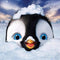 Pintura de Diamantes - Pingüino