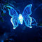 Borboleta