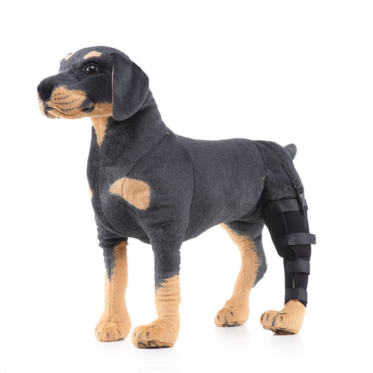Soporte ortopédico para rehabilitación de patas en mascotas - Image 3