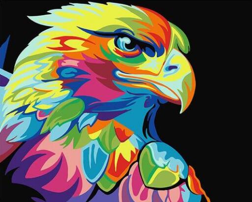 Aguila Multicolor - Estilo Versátil para Cada Ocasión