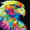 Aguila Multicolor - Estilo Versátil para Cada Ocasión
