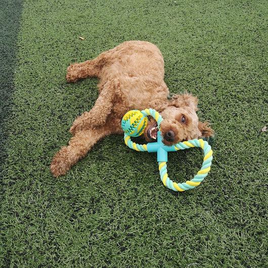 Yellow and light blue figure-eight rope dog toy with a light blue connector and a treat-dispensing rubber ball. - Image 3