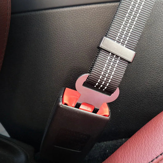 Arnés de Seguridad Ajustable para Perros en Auto con Cuerda Elástica Reflectante - Image 20