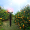 Repelente Solar de Plagas con Lámpara LED - Ahuyentador para Jardín